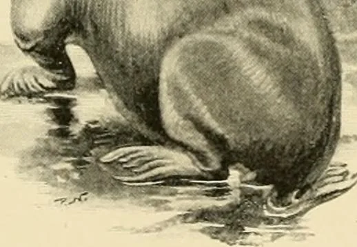 An illustration from The encyclopaedia of sport, 1897, leaf 124
