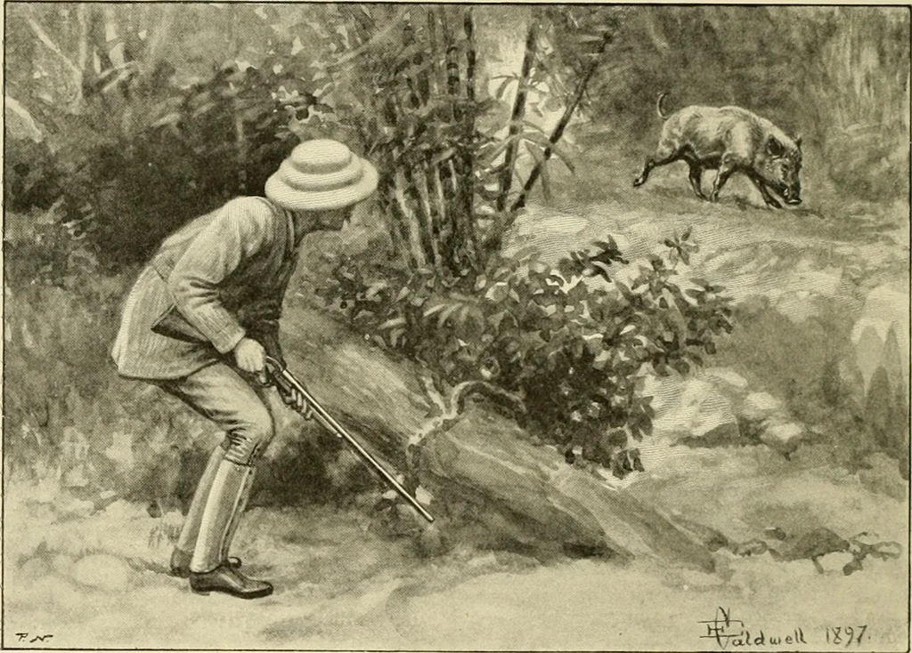 An illustration from The encyclopaedia of sport, 1897, leaf 148