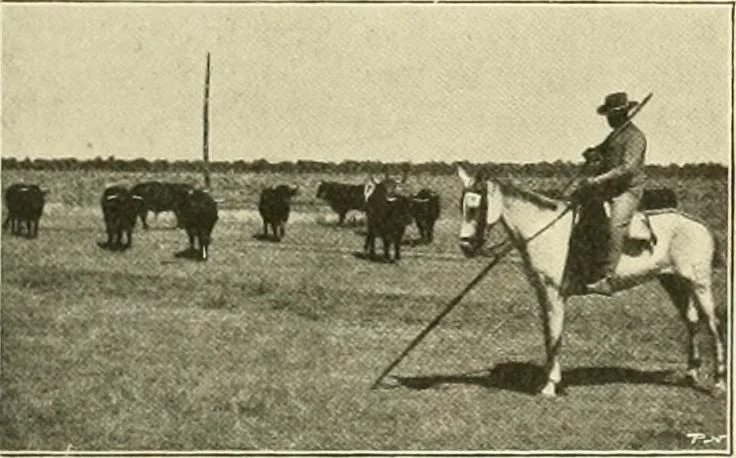 An illustration from The encyclopaedia of sport, 1897, leaf 177