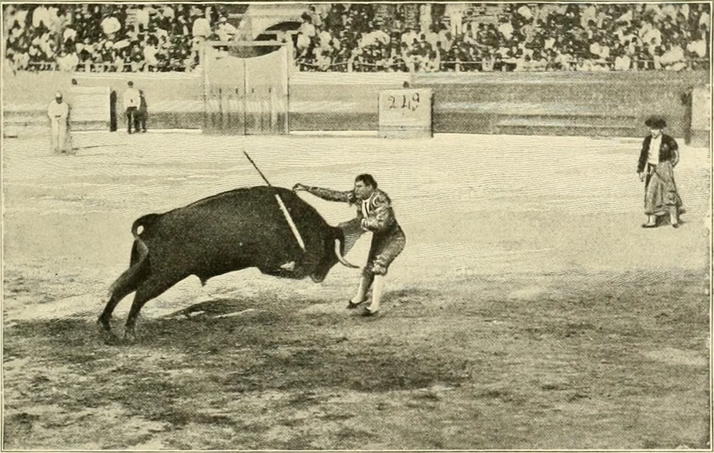 An illustration from The encyclopaedia of sport, 1897, leaf 181