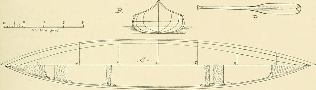 An illustration from The encyclopaedia of sport, 1897, leaf 203