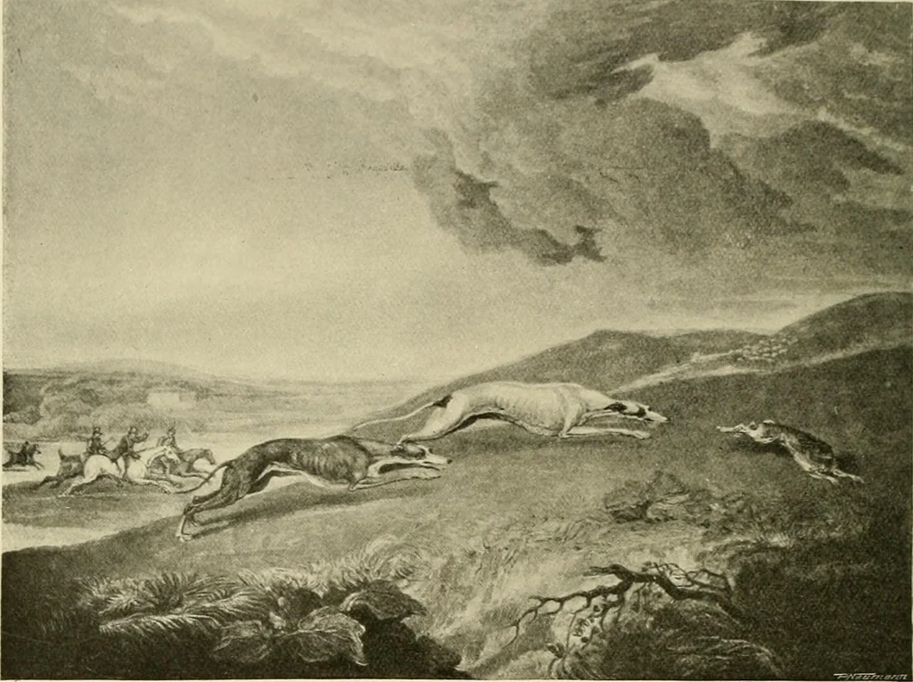 An illustration from The encyclopaedia of sport, 1897, leaf 228