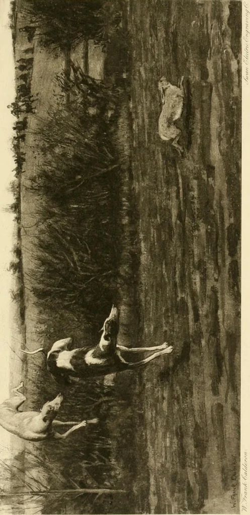 An illustration from The encyclopaedia of sport, 1897, leaf 229