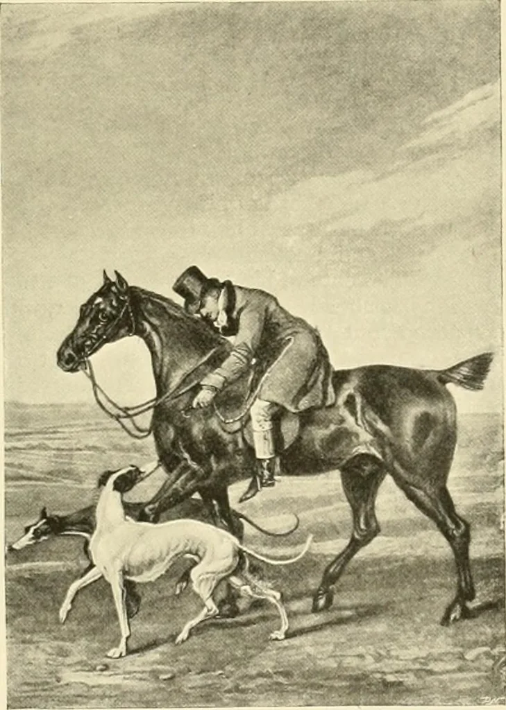 An illustration from The encyclopaedia of sport, 1897, leaf 233
