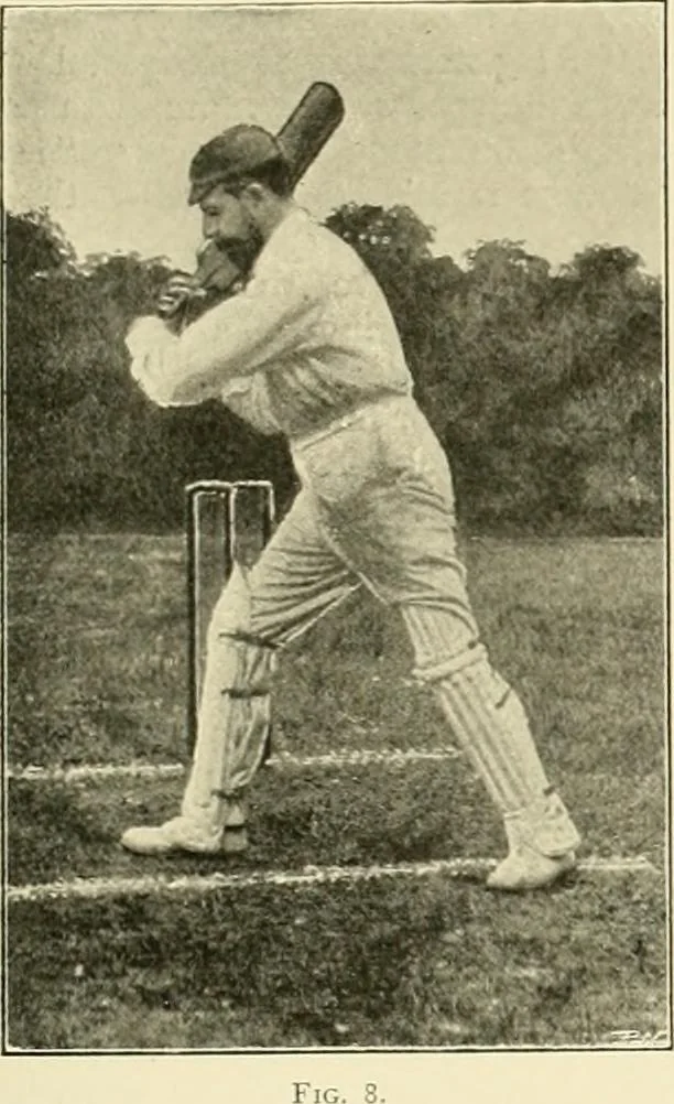 An illustration from The encyclopaedia of sport, 1897, leaf 253