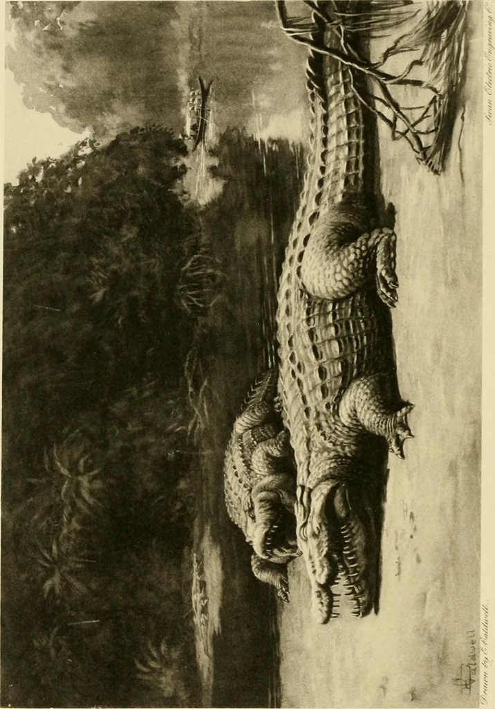 An illustration from The encyclopaedia of sport, 1897, leaf 278