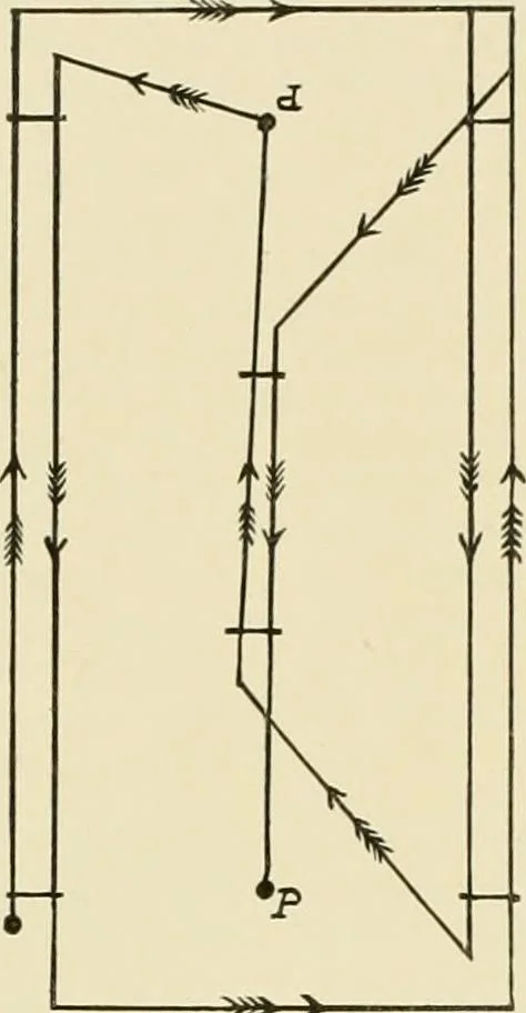 An illustration from The encyclopaedia of sport, 1897, leaf 284