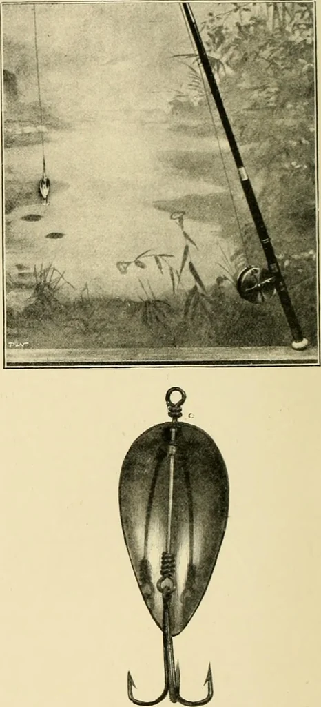 An illustration from The encyclopaedia of sport, 1897, leaf 30