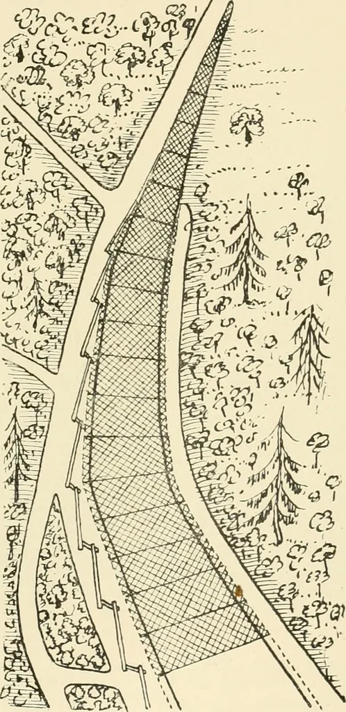 An illustration from The encyclopaedia of sport, 1897, leaf 329