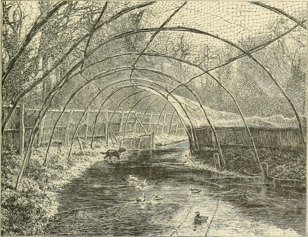 An illustration from The encyclopaedia of sport, 1897, leaf 331