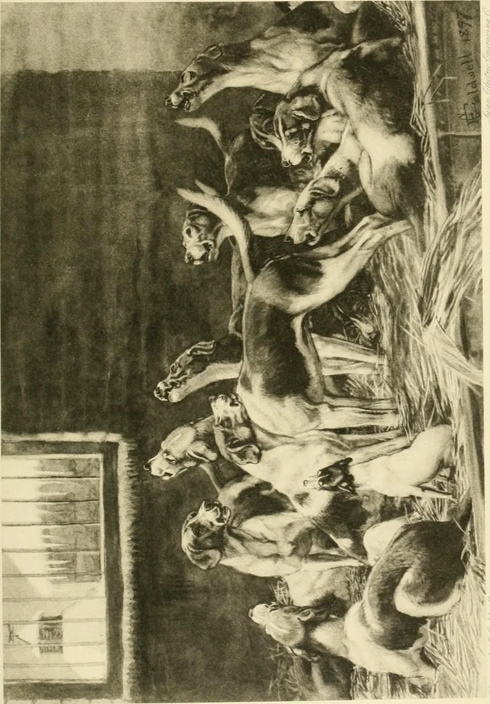 An illustration from The encyclopaedia of sport, 1897, leaf 345