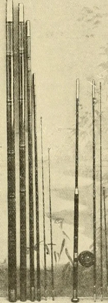 An illustration from The encyclopaedia of sport, 1897, leaf 35