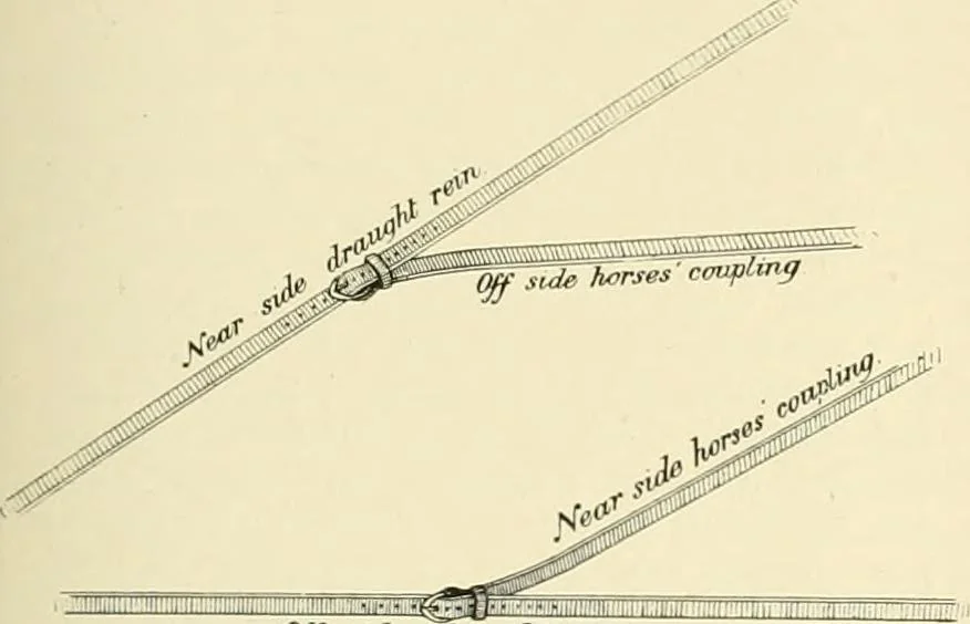An illustration from The encyclopaedia of sport, 1897, leaf 369