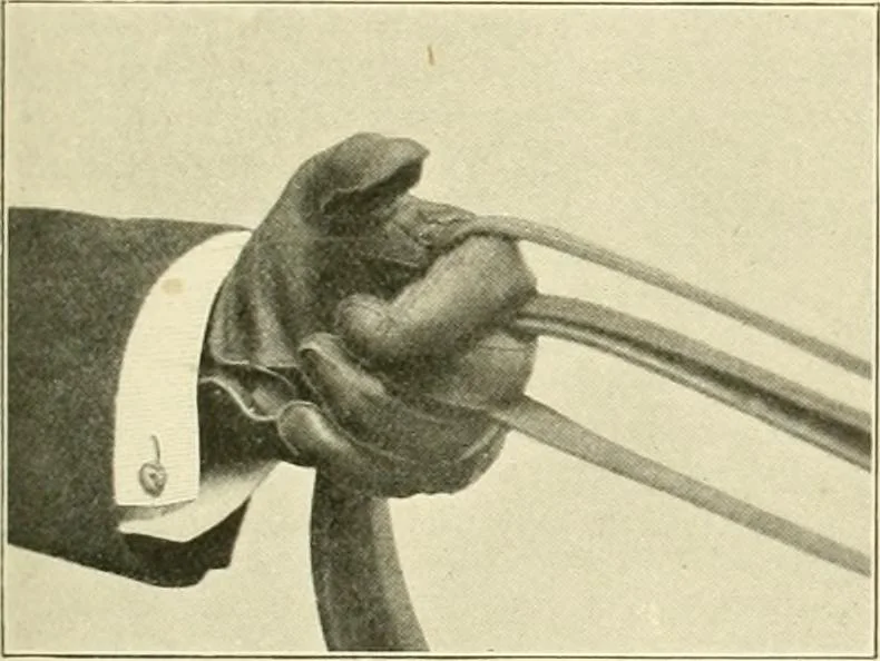 An illustration from The encyclopaedia of sport, 1897, leaf 371