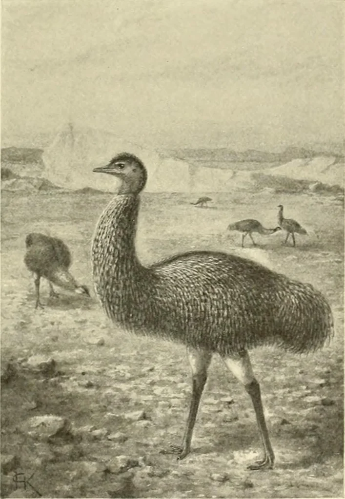 An illustration from The encyclopaedia of sport, 1897, leaf 399