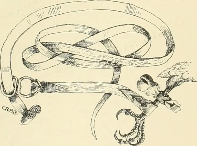 An illustration from The encyclopaedia of sport, 1897, leaf 405