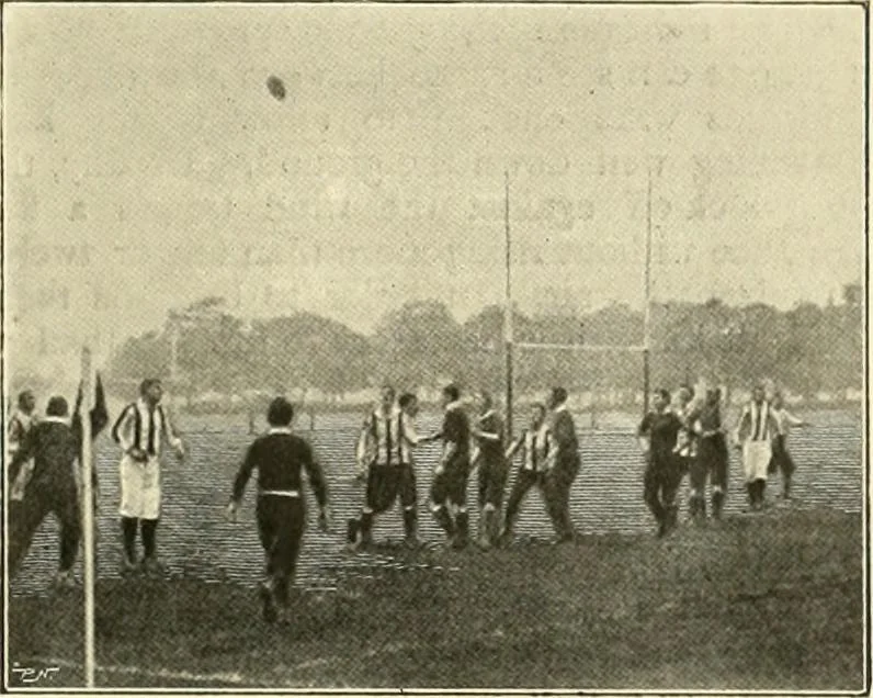 An illustration from The encyclopaedia of sport, 1897, leaf 453