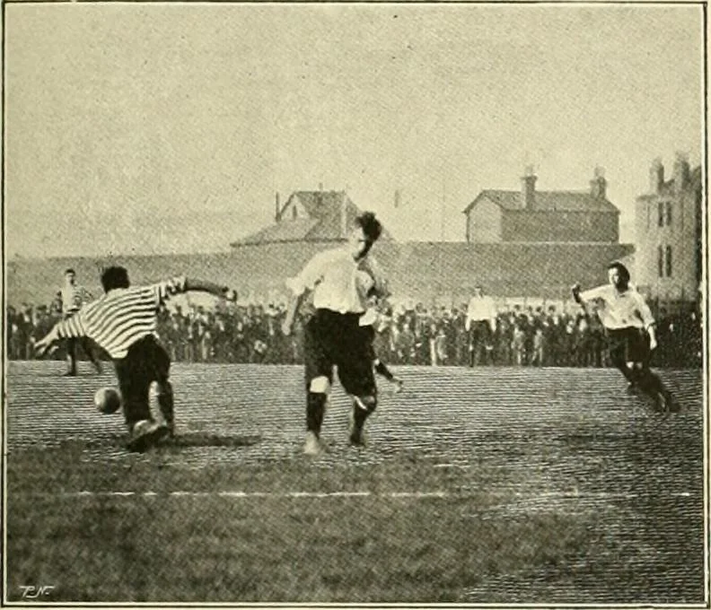 An illustration from The encyclopaedia of sport, 1897, leaf 459