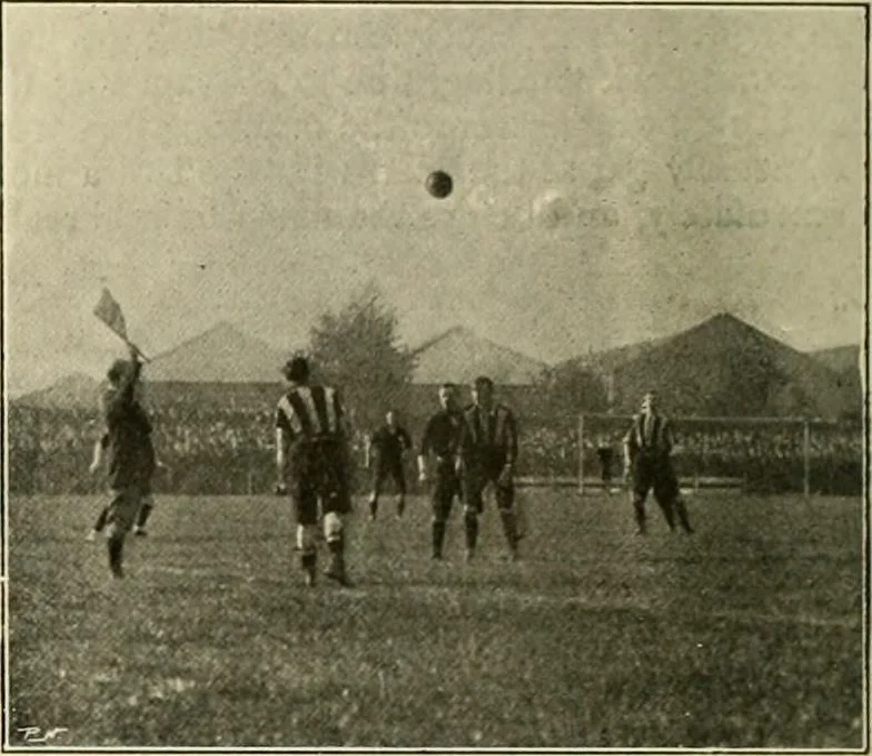 An illustration from The encyclopaedia of sport, 1897, leaf 460