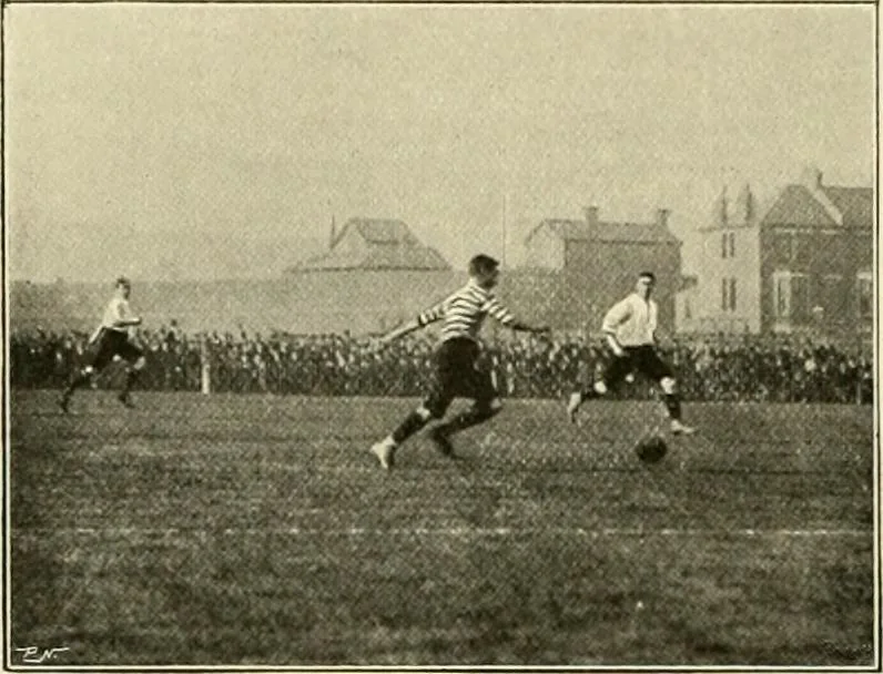 An illustration from The encyclopaedia of sport, 1897, leaf 462