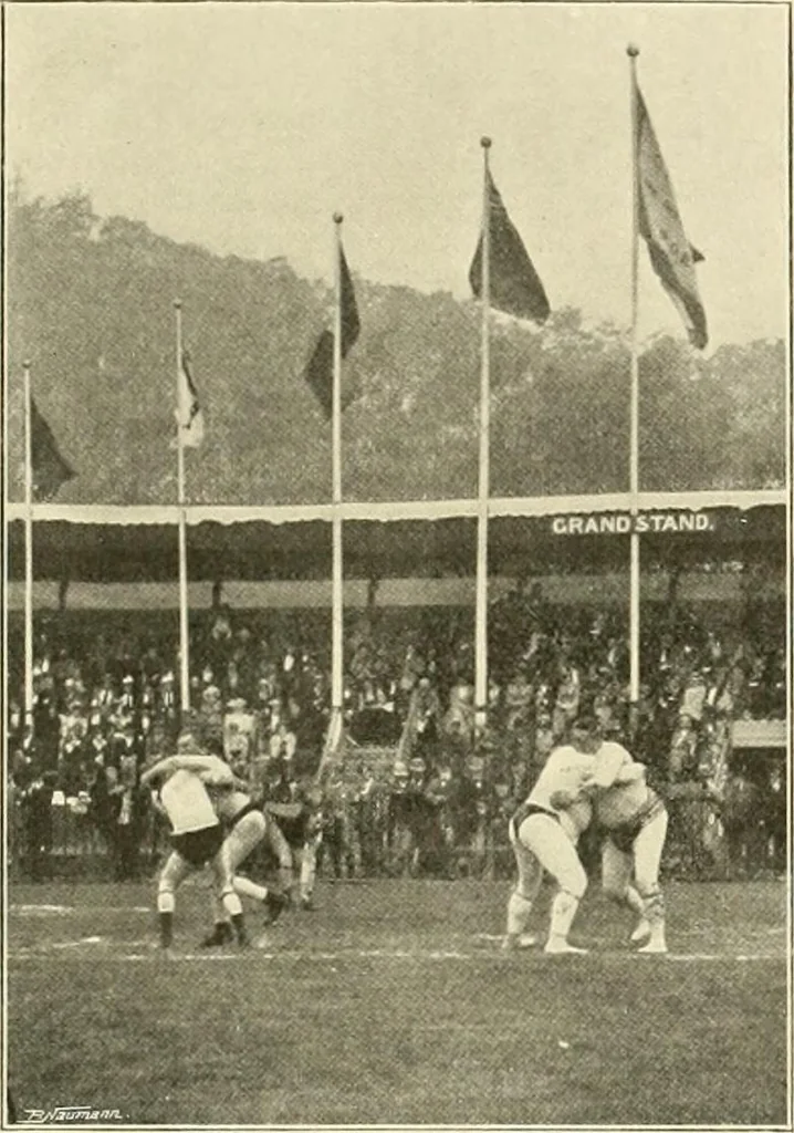 An illustration from The encyclopaedia of sport, 1897, leaf 527