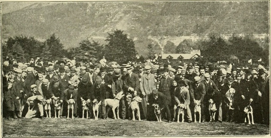 An illustration from The encyclopaedia of sport, 1897, leaf 529