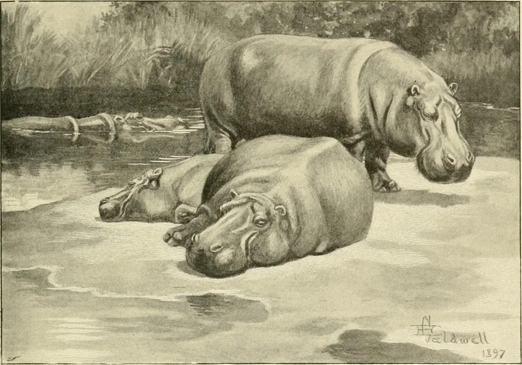 An illustration from The encyclopaedia of sport, 1897, leaf 559