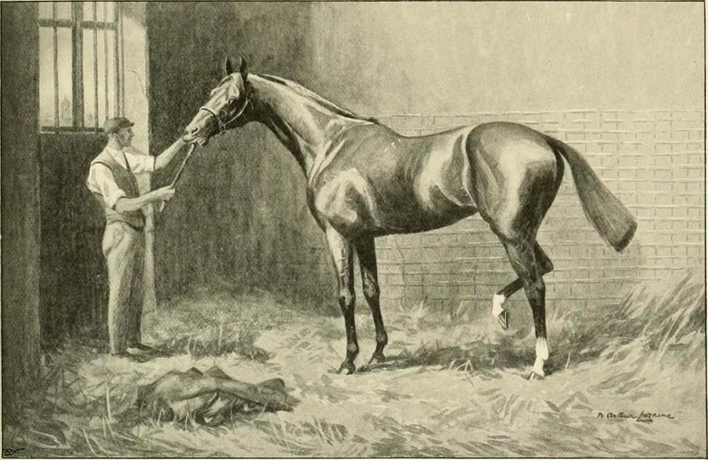 An illustration from The encyclopaedia of sport, 1897, leaf 581