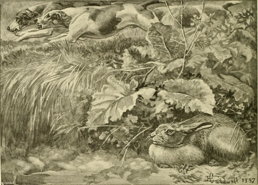 An illustration from The encyclopaedia of sport, 1897, leaf 610
