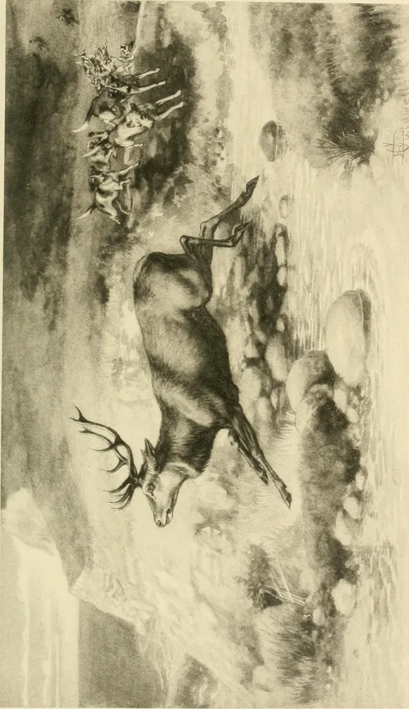 An illustration from The encyclopaedia of sport, 1897, leaf 621