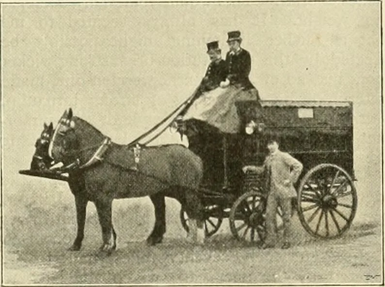 An illustration from The encyclopaedia of sport, 1897, leaf 623
