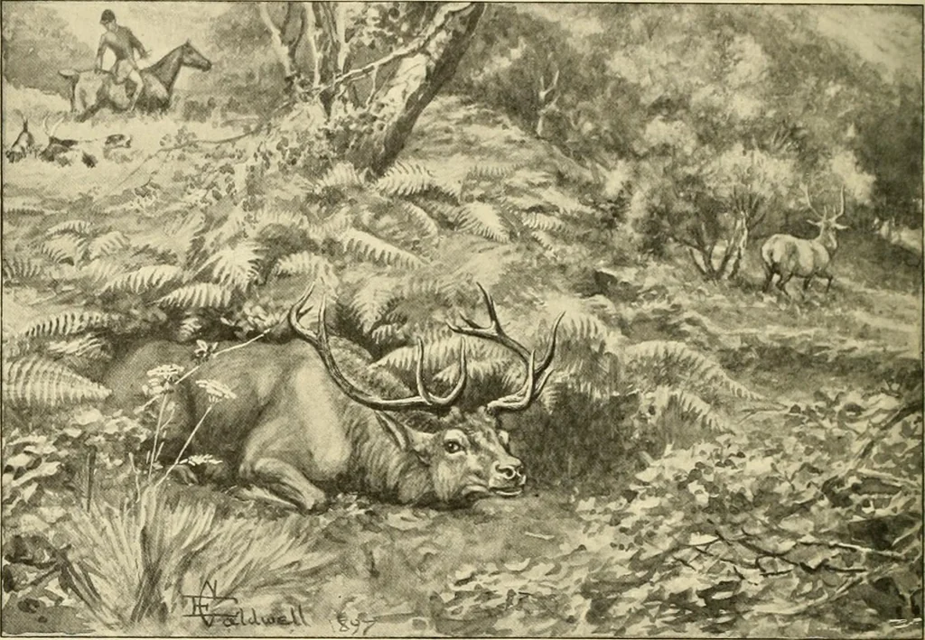 An illustration from The encyclopaedia of sport, 1897, leaf 632