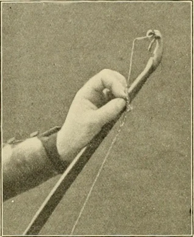 An illustration from The encyclopaedia of sport, 1897, leaf 64
