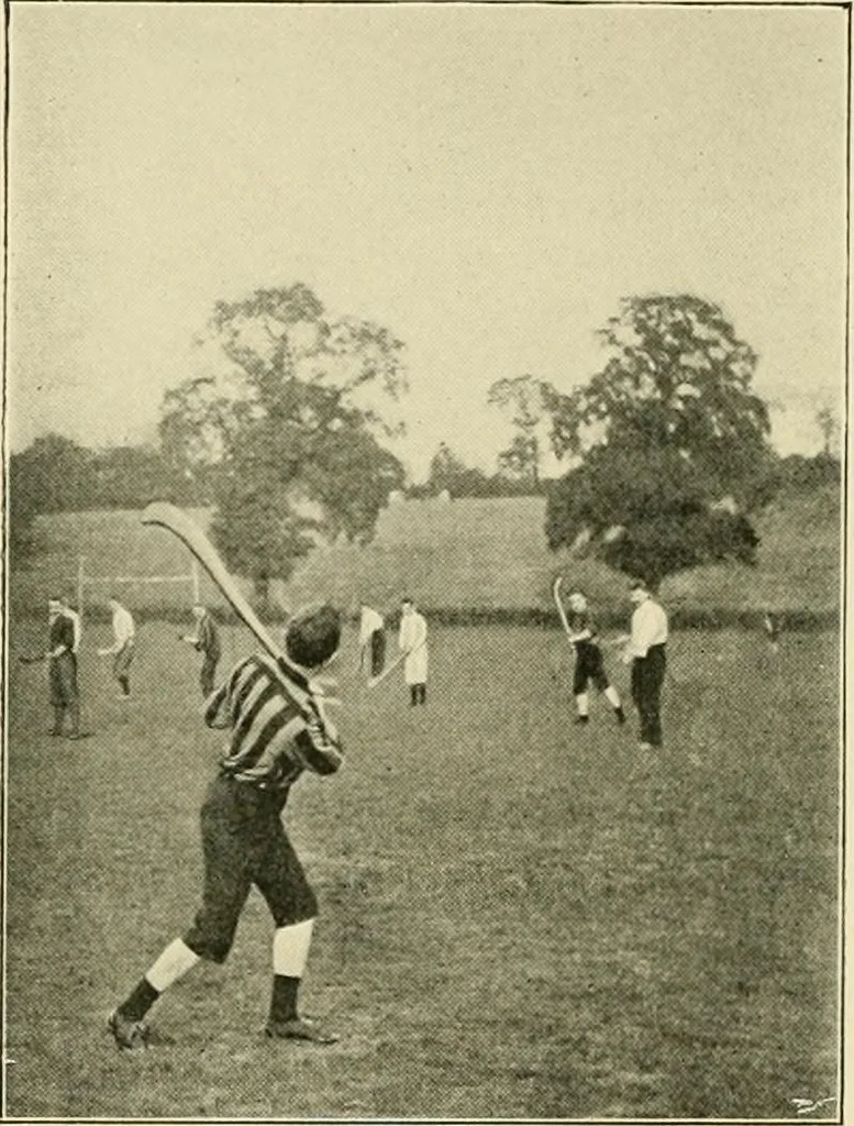 An illustration from The encyclopaedia of sport, 1897, leaf 648
