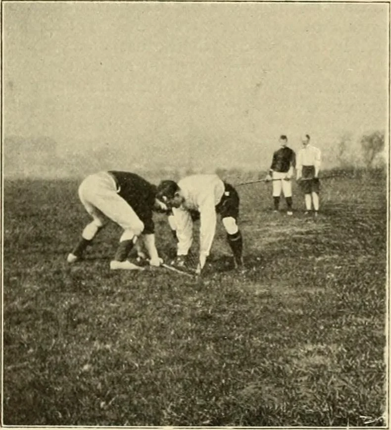 An illustration from The encyclopaedia of sport, 1897, leaf 660