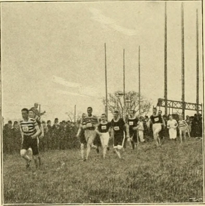 An illustration from The encyclopaedia of sport, 1897, leaf 70