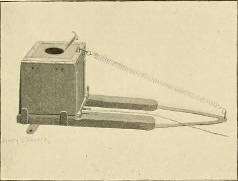 An illustration from The encyclopaedia of sport, 1897, leaf 116