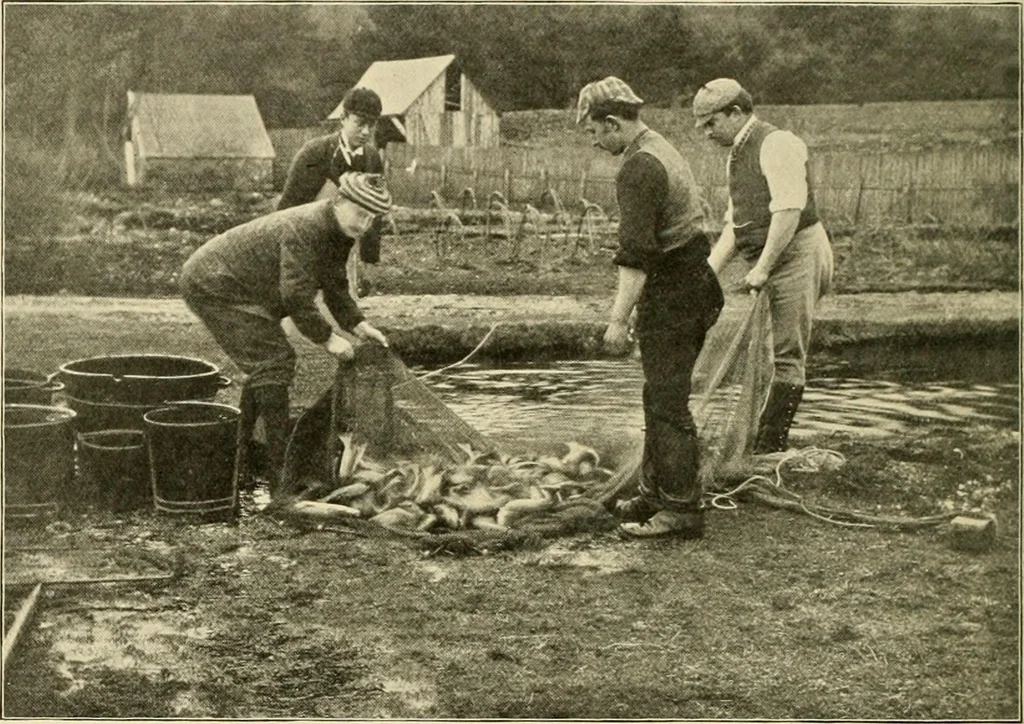 An illustration from The encyclopaedia of sport, 1897, leaf 129