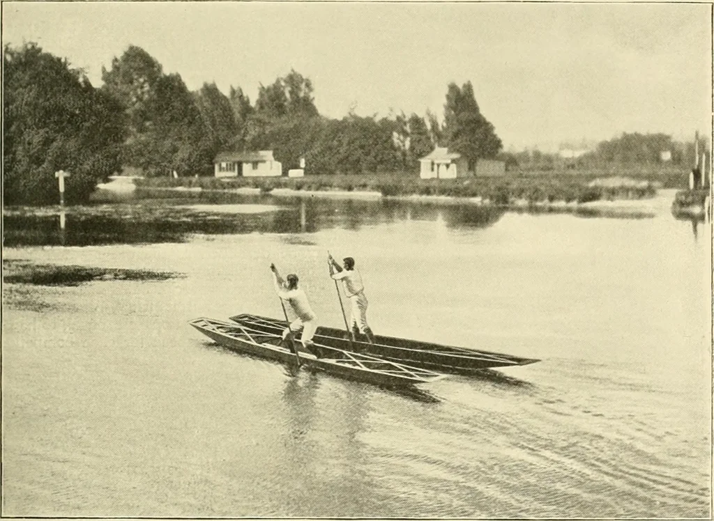 An illustration from The encyclopaedia of sport, 1897, leaf 176