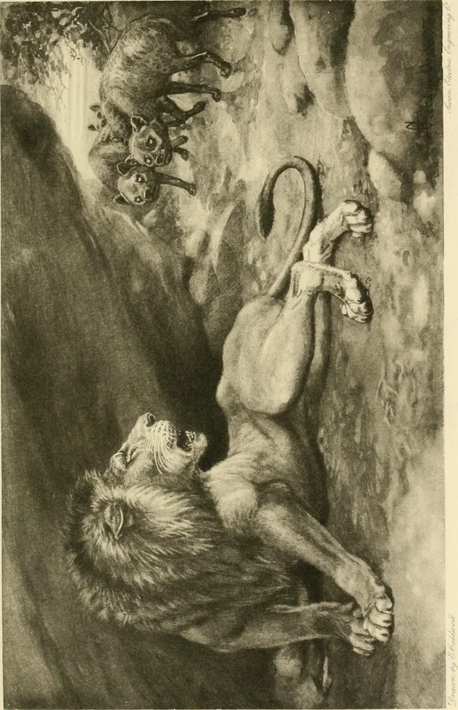 An illustration from The encyclopaedia of sport, 1897, leaf 20
