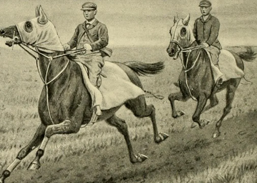 An illustration from The encyclopaedia of sport, 1897, leaf 207