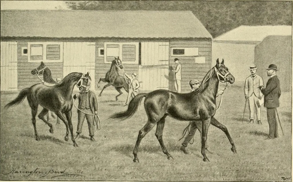 An illustration from The encyclopaedia of sport, 1897, leaf 210