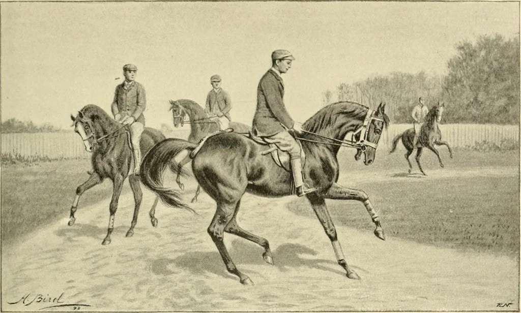 An illustration from The encyclopaedia of sport, 1897, leaf 212