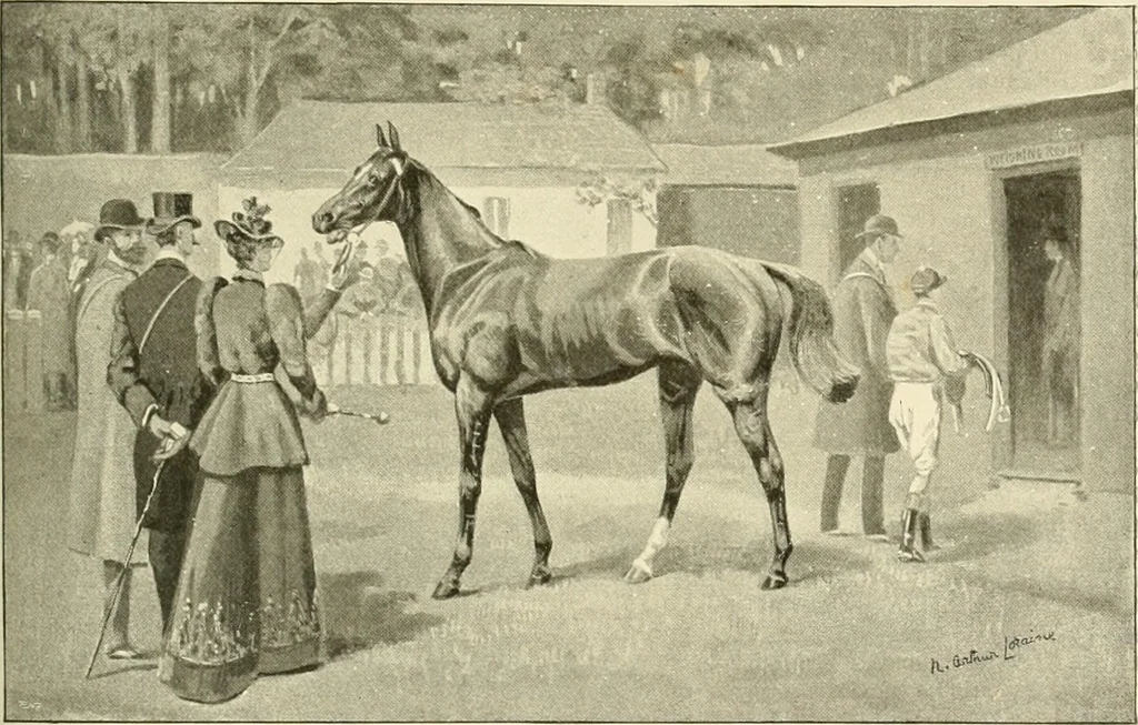 An illustration from The encyclopaedia of sport, 1897, leaf 216