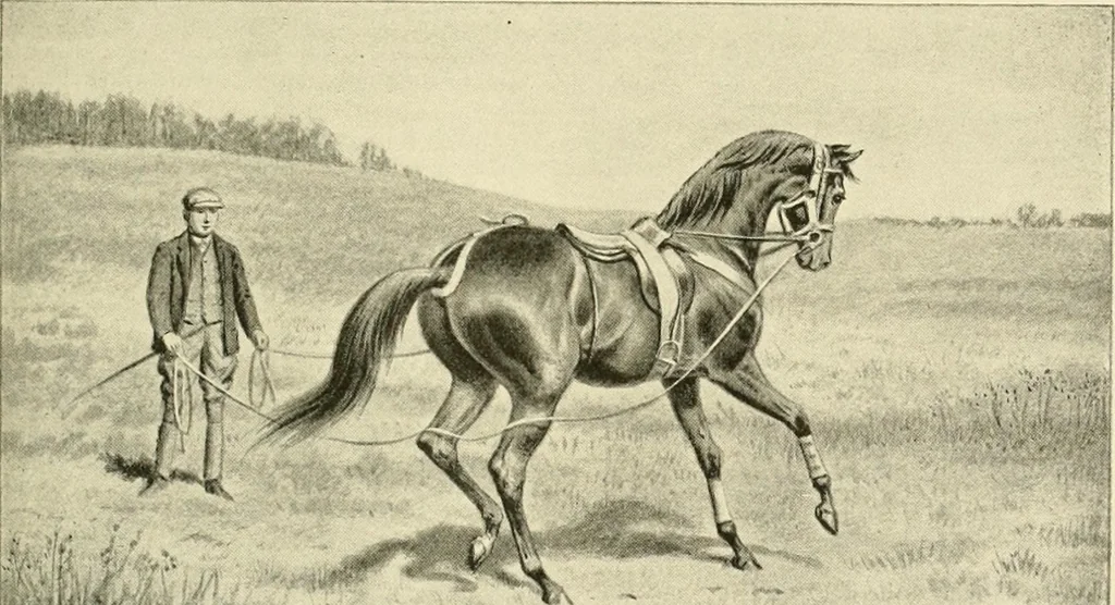 An illustration from The encyclopaedia of sport, 1897, leaf 218