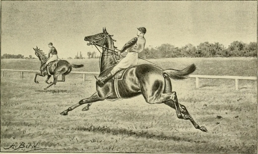 An illustration from The encyclopaedia of sport, 1897, leaf 222