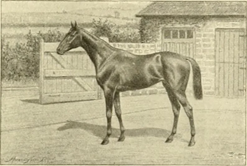 An illustration from The encyclopaedia of sport, 1897, leaf 228