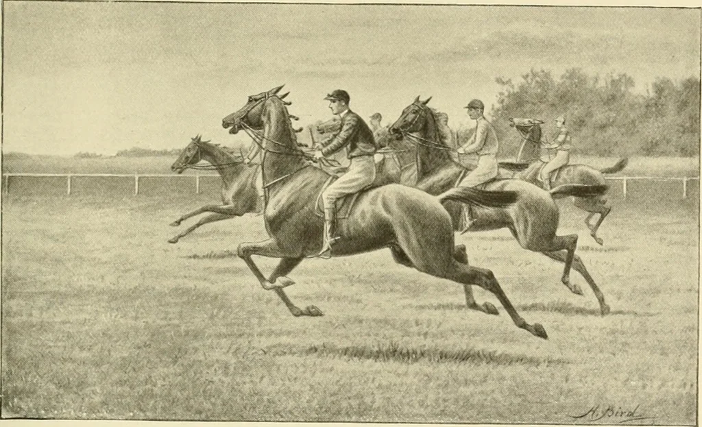 An illustration from The encyclopaedia of sport, 1897, leaf 236