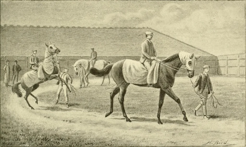 An illustration from The encyclopaedia of sport, 1897, leaf 240
