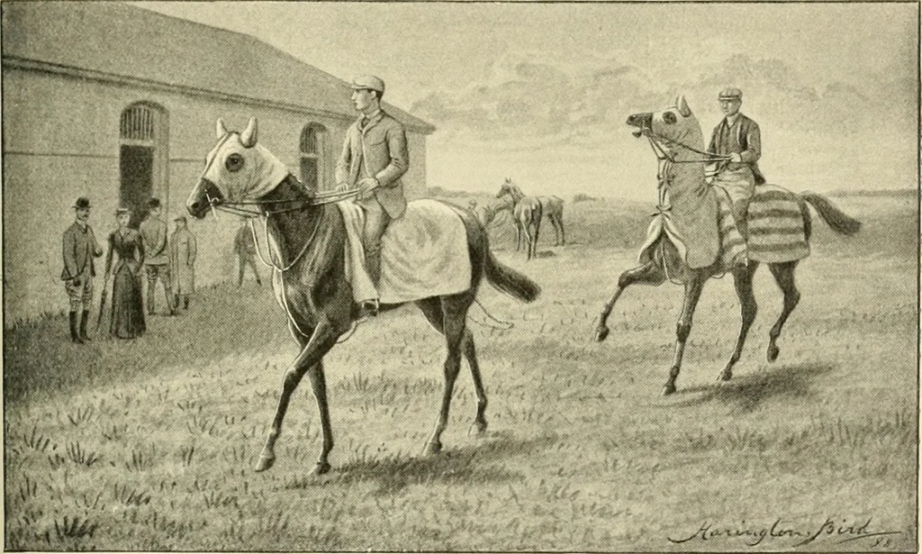 An illustration from The encyclopaedia of sport, 1897, leaf 242